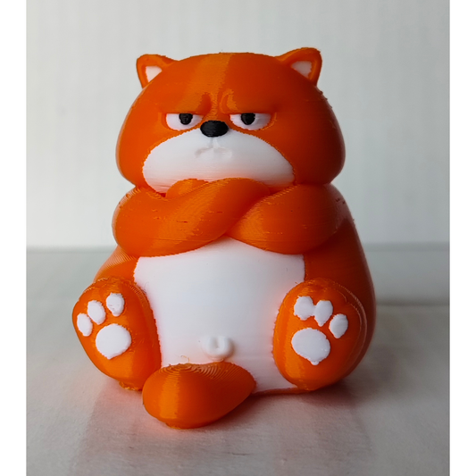 Angry Orange Cat